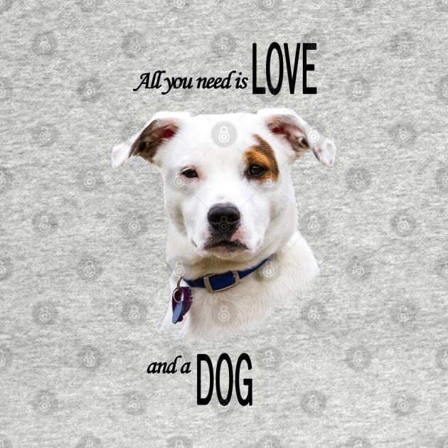 All you need is Love and a Dog by Jane Stanley Photography